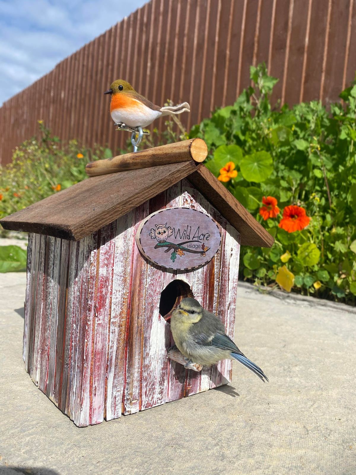 Accommodation For All At Wild Acre Village