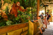 Monkey Mischief Interactive Adventure At Sundown Adventureland 5