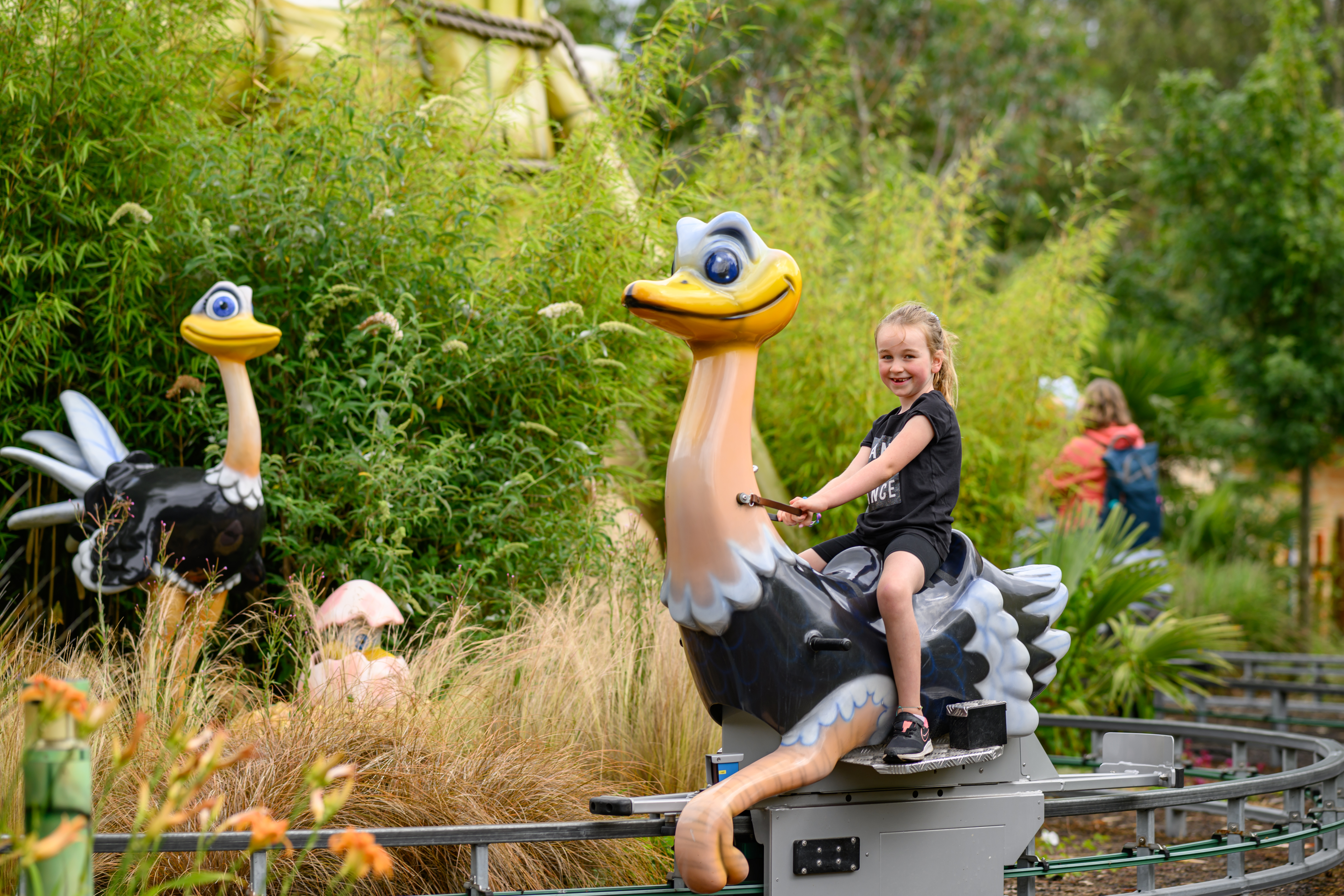 The Wild Ostrich Ride For Families With Under 10S At Sundown Adventureland 5