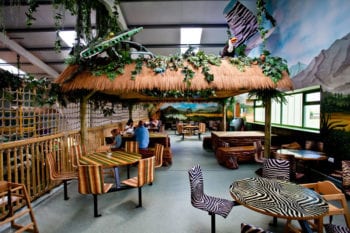 Crash Landings Indoor Play Area - Sundown Adventureland