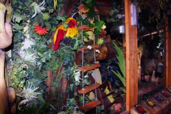 Monkey Mischief - Sundown Adventureland