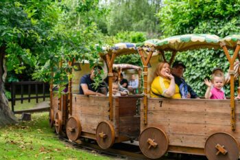 The Robin Hood Ride at Sundown Adventureland theme park for the under tens