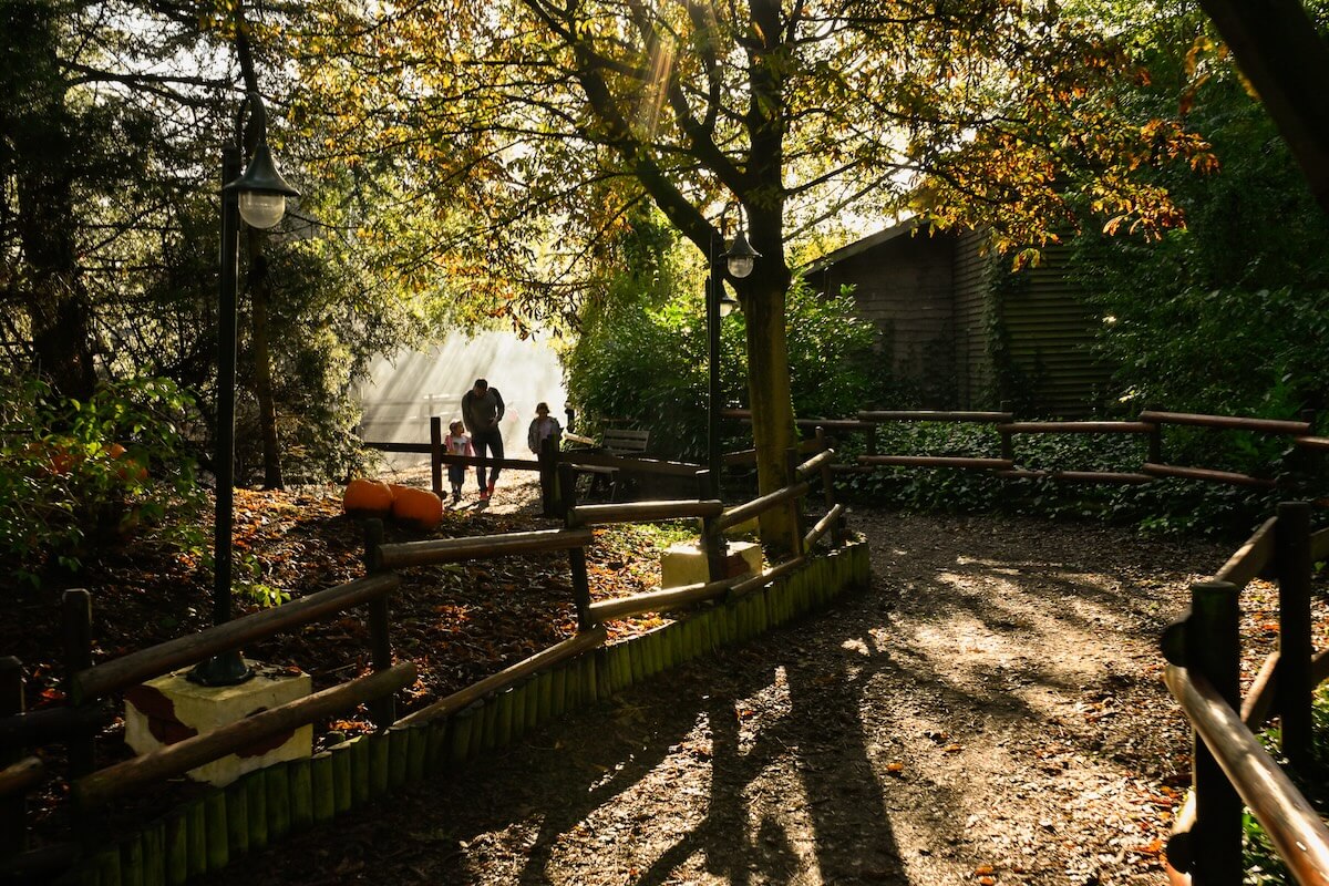 Walk the spooky walk at Halloween 2024 at Sundown Adventureland