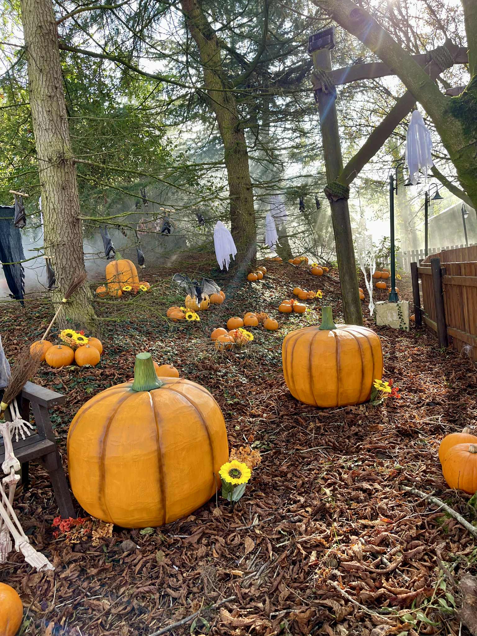 Even more pumpkins during Halloween fun at Sundown Adventureland