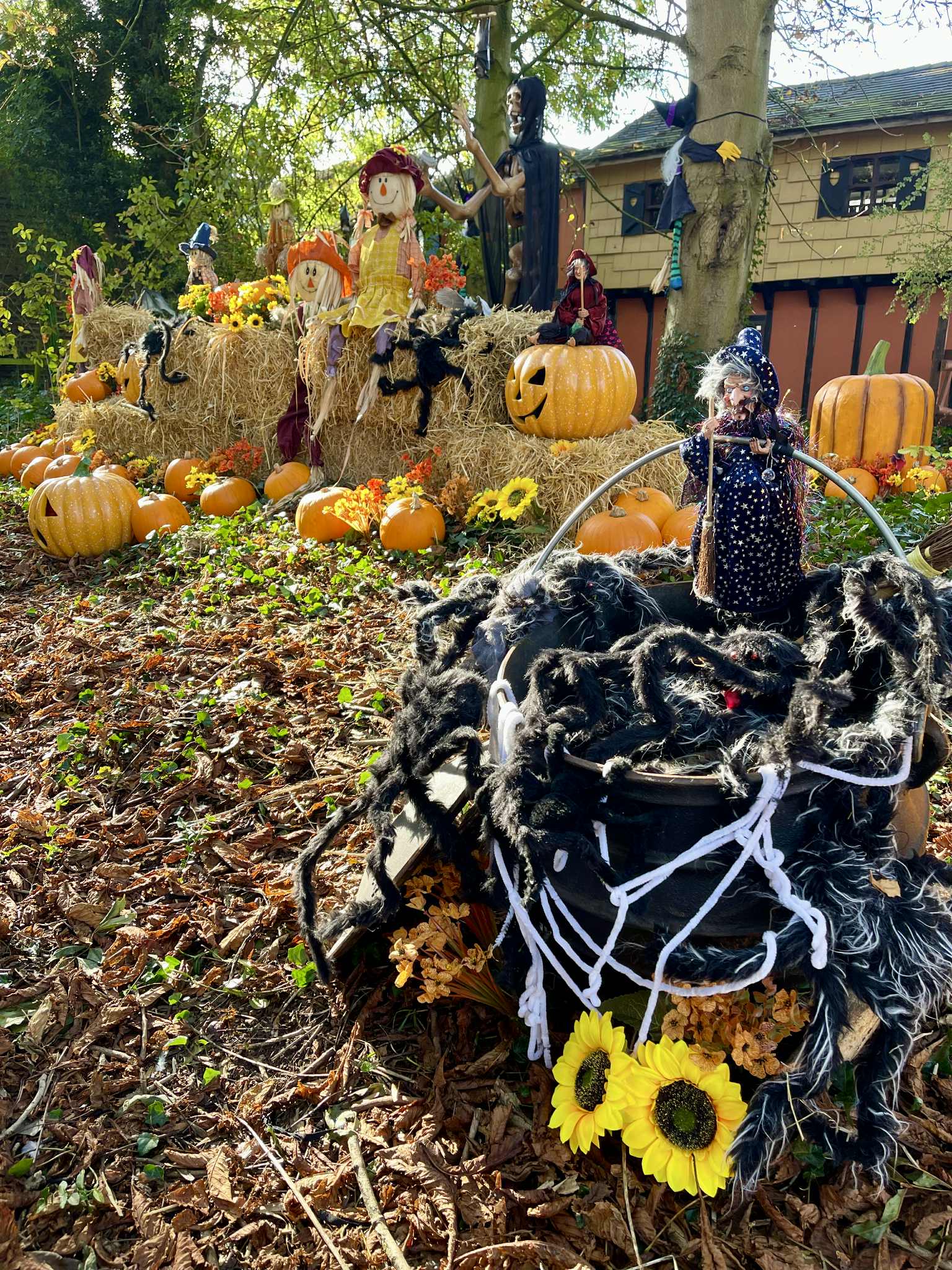Pumpkins and cobwebs during Halloween fun at Sundown Adventureland